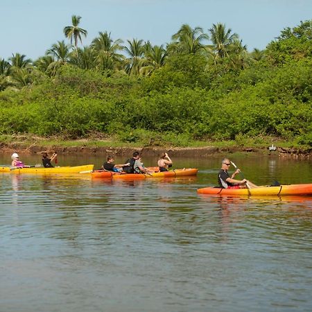 The Resort At Majahua Palms Troncones Exterior foto